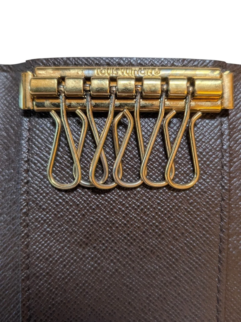 Louis Vuitton authentic louis